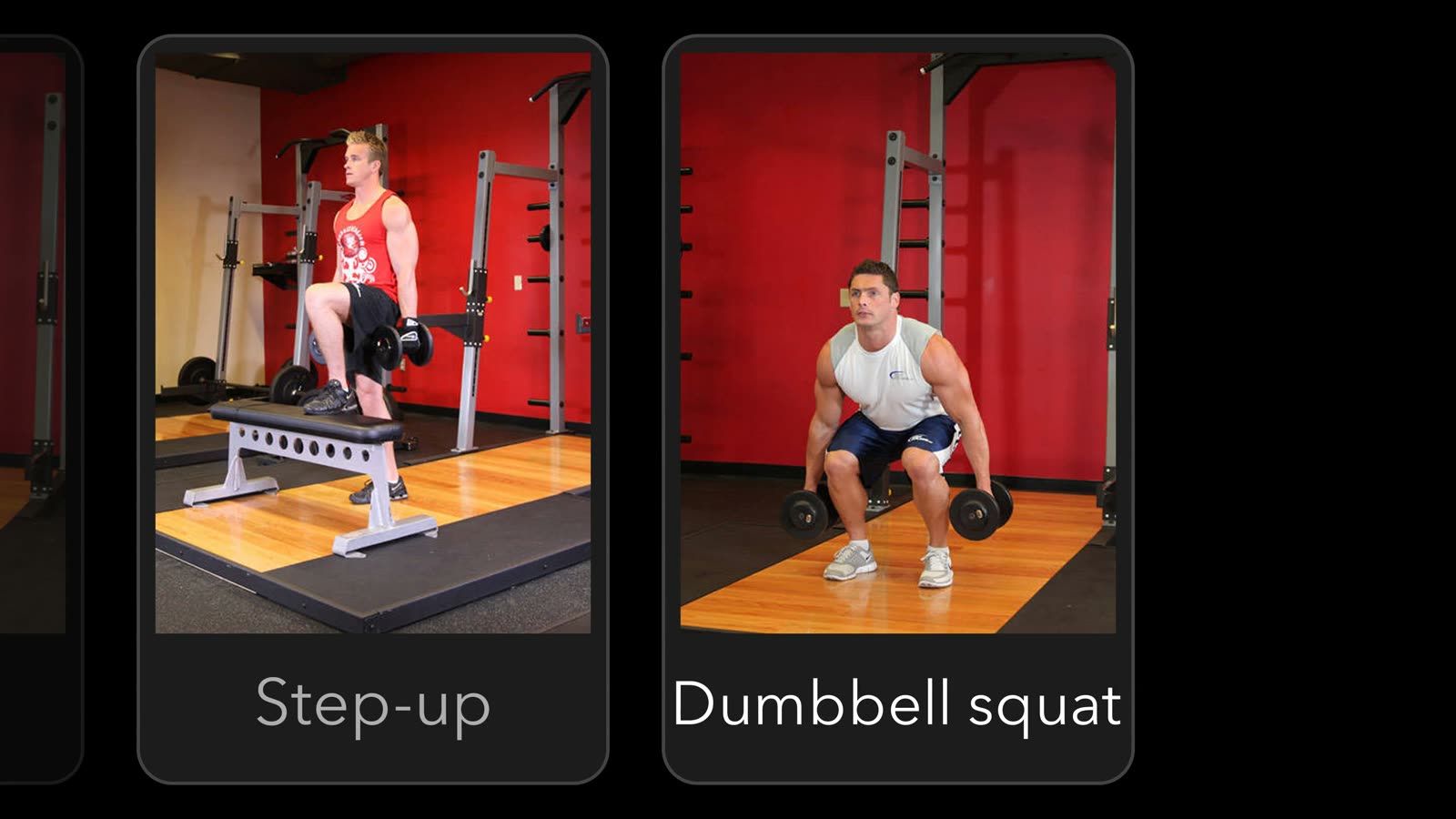 Search results for exercises similar to a Bulgarian split squat: step-ups and dumbbell squats