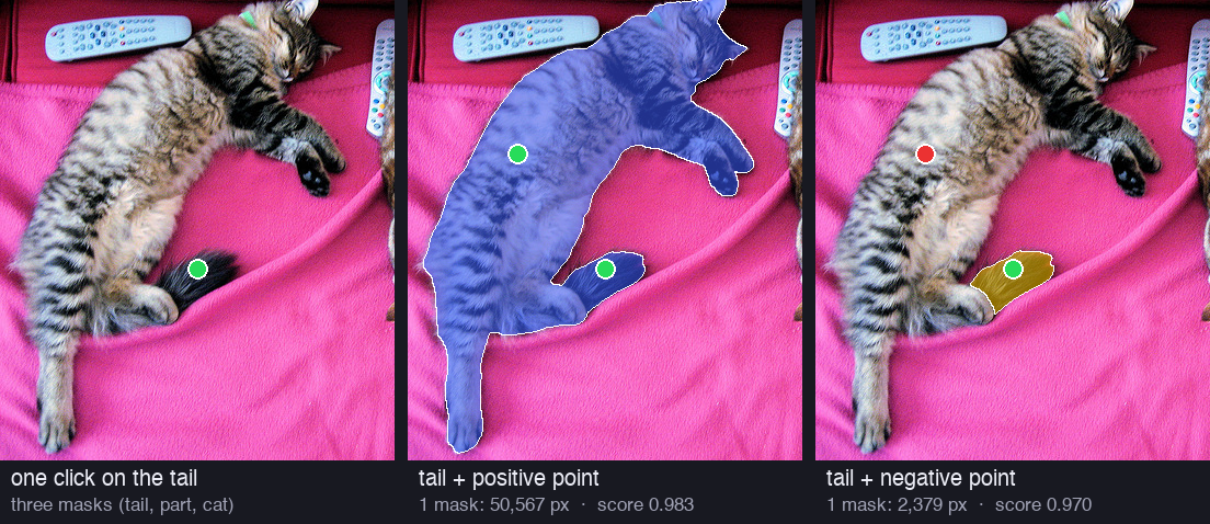 Three copies of the left cat. Left: one green dot on the tail. Middle: a second green dot on the body gives a blue mask of the whole cat, 50,567 pixels, score 0.983. Right: a red dot on the body gives a yellow mask of only the tail, 2,379 pixels, score 0.970