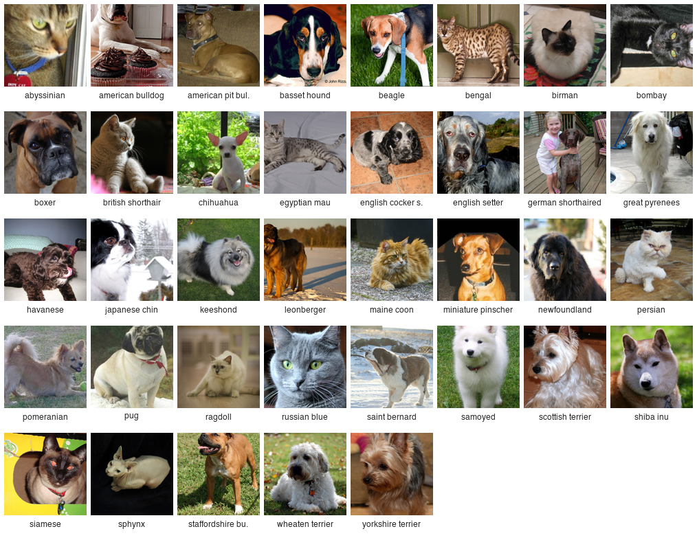 A grid of 37 small photos, one per breed of the Oxford-IIIT Pets dataset, each labelled with its breed: abyssinian, american bulldog, american pit bull terrier, basset hound, beagle, bengal, birman, bombay, boxer, british shorthair, chihuahua, egyptian mau, english cocker spaniel, english setter, german shorthaired, great pyrenees, havanese, japanese chin, keeshond, leonberger, maine coon, miniature pinscher, newfoundland, persian, pomeranian, pug, ragdoll, russian blue, saint bernard, samoyed, scottish terrier, shiba inu, siamese, sphynx, staffordshire bull terrier, wheaten terrier and yorkshire terrier