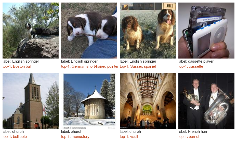 Eight photos with their ImageNet label and ViT-L/16's top answer. Three English springer spaniels called Boston bull, German short-haired pointer and Sussex spaniel. A hand holding a cassette inside a cassette player, called cassette. A church tower called bell cote, a small church called monastery, a church interior called vault, and two musicians with a French horn and a large brass instrument called cornet