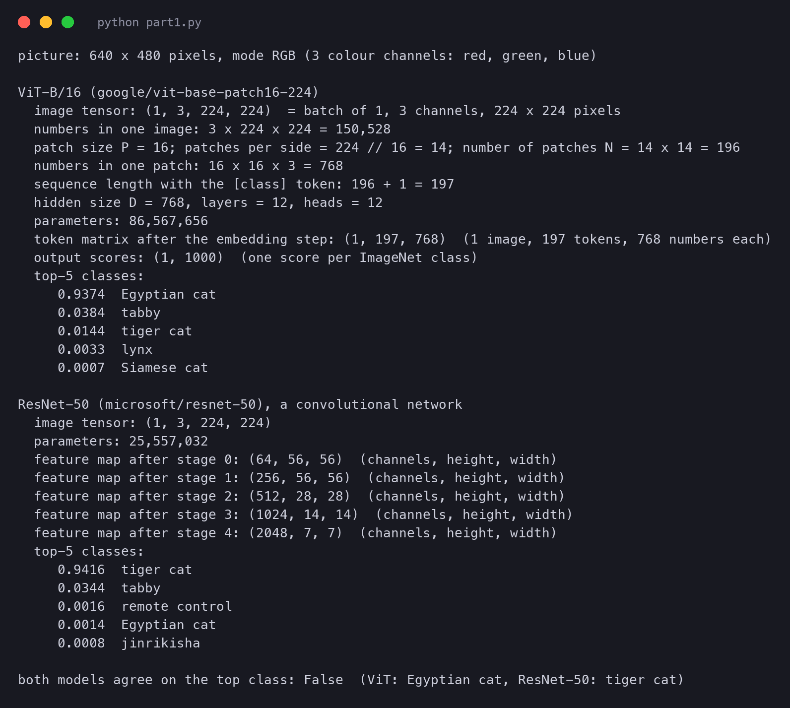 Terminal output of vit_part1.py: the picture size, the ViT-B/16 tensor shapes and patch arithmetic, its top-5 classes led by Egyptian cat 0.9374, the ResNet-50 feature-map shapes and its top-5 classes led by tiger cat 0.9416